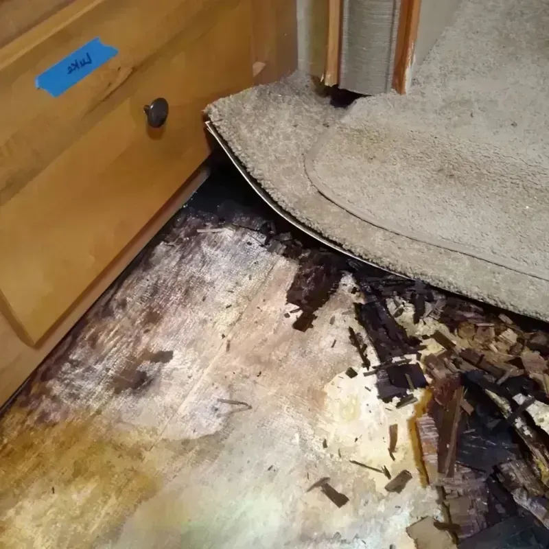 Best Wood Floor Water Damage Service in Westhampton Beach, NY